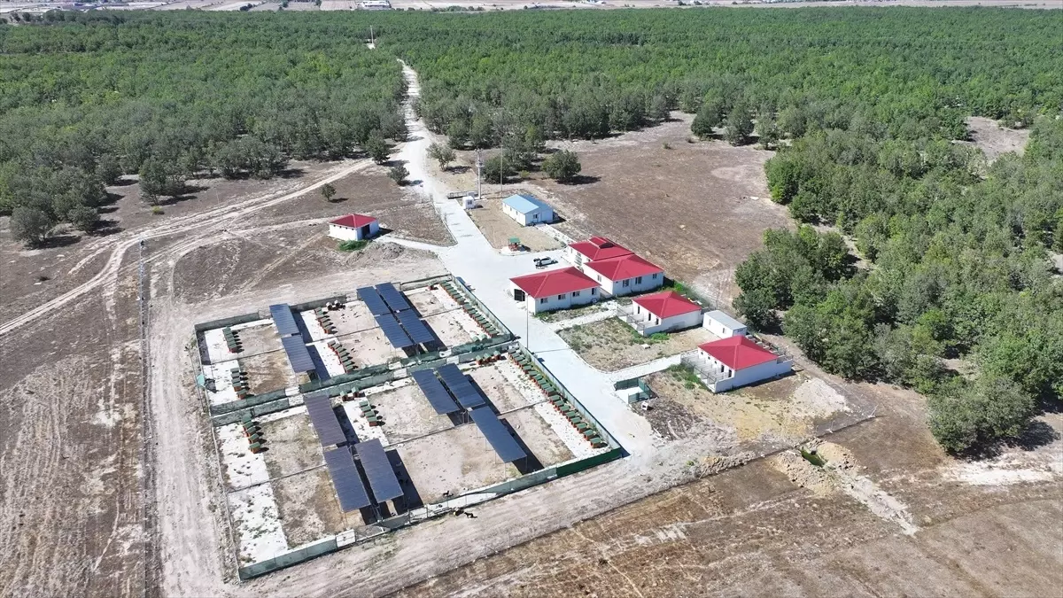 kapakliya dogal yasam alani ruhsati JY2JmHgW