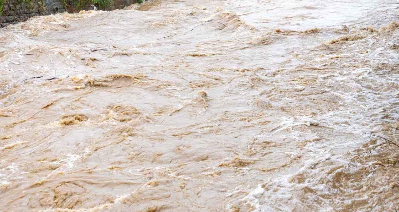 korkunc ve endise verici diyerek paylastilar 3 milyondan fazla insani sel vuracak sicakliga bagli olumleri 444 artacak 6G48yQdZ