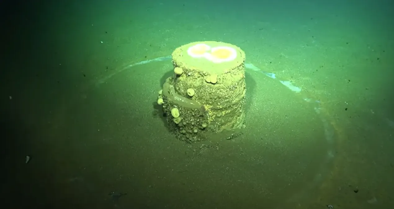 okyanus tabanindaki gizemli halkalar zehirli sirri aciga cikardi I5GJ95Gq