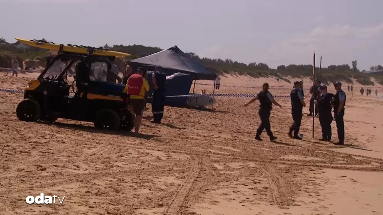 sydneyde kopekbaligi dehseti 1 olu wvm5FuGU