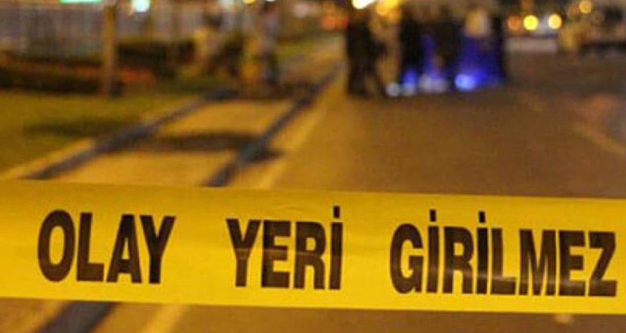 izmir beydagda sahipsiz kopege ates acan suphelinin sacmalari kadin cinayetine neden oldu x2rlncHV