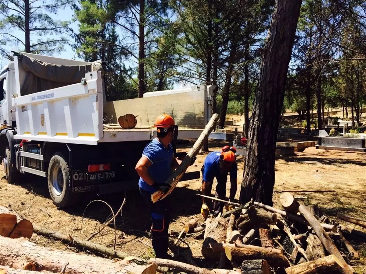 muglada mezarlik temizligi yakacak destek oldu Ki37XKwh