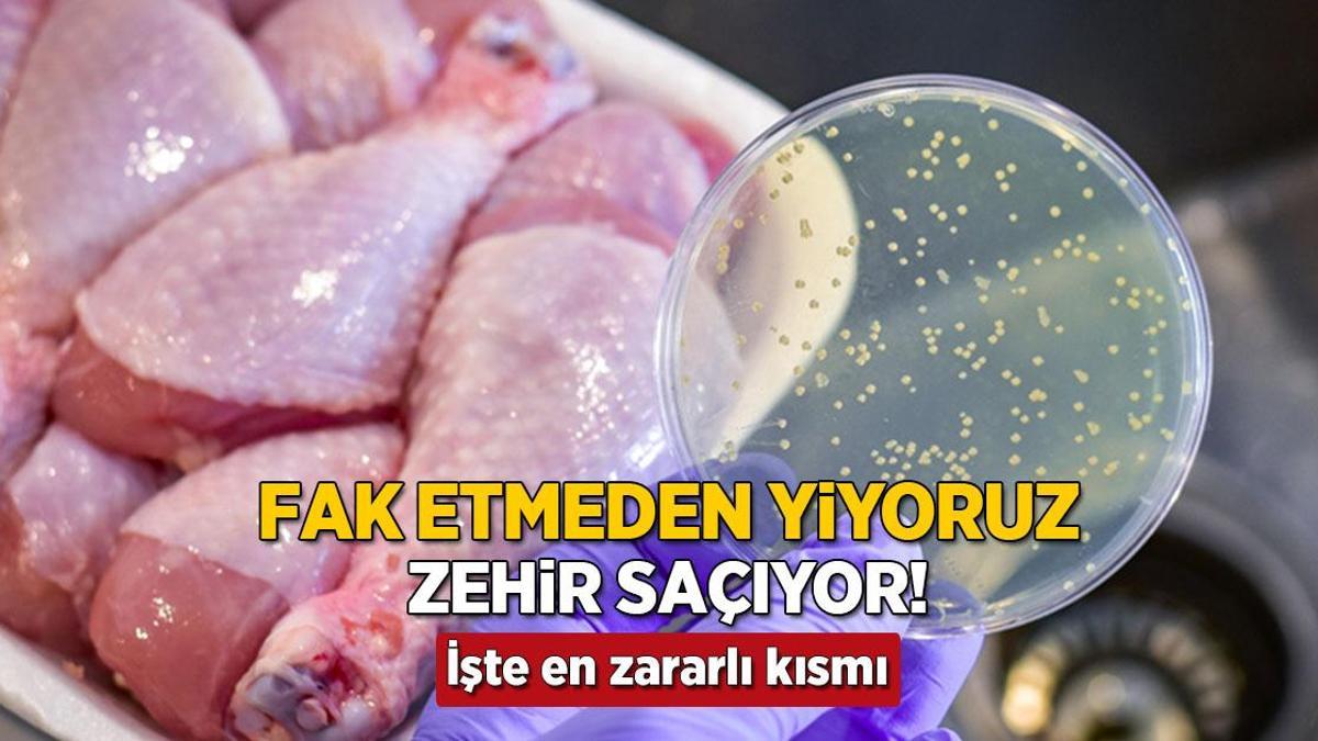 tavugun en zararli kismi severek tuketilse de kalbi ve vucudu zehirliyor 8h8Psml8.jpg
