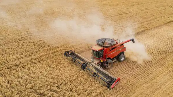 tuik eylul verilerini acikladi tarimda uretici fiyatlari yukseldi gbEaU3hM.jpg