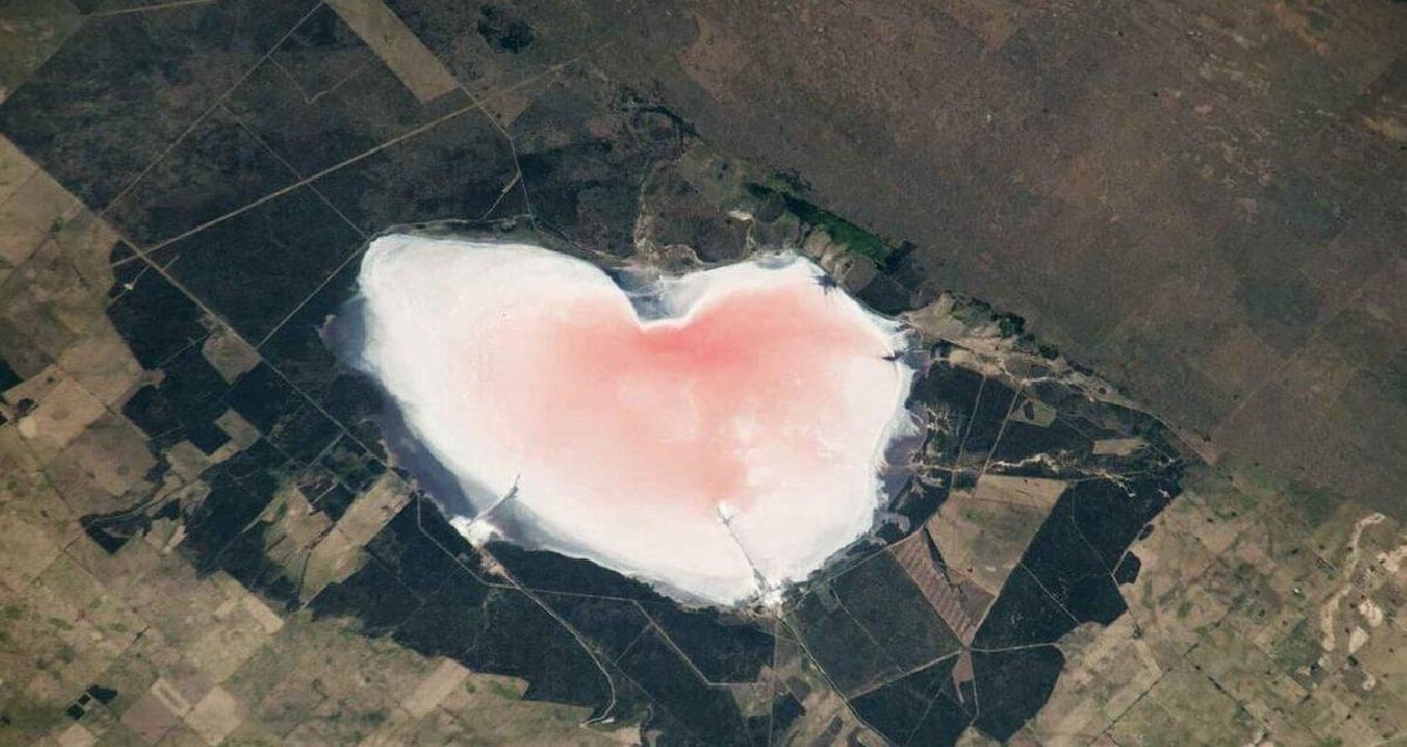 Pembe Gölün Gizemi Ortaya Çıktı: Görünüşü Kandırıcı Olabilir