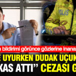 Haber gorseli